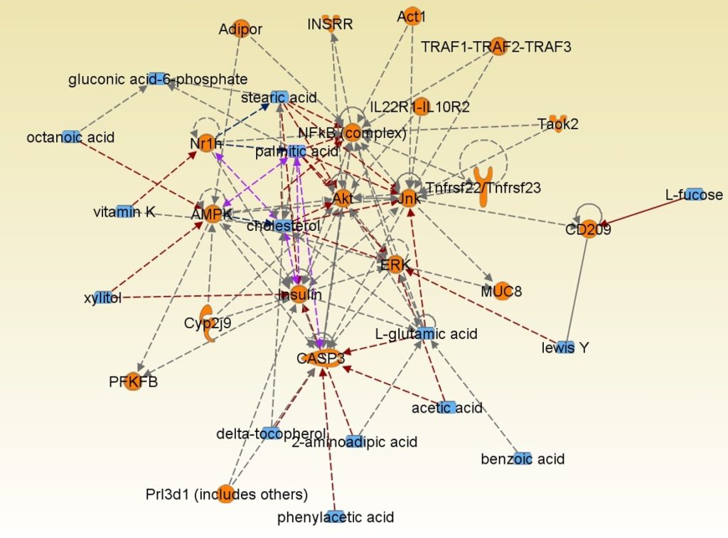 CureMatch Announces New Advances in Using Metabolomic Profiling to Distinguish Among Cancer Subtypes