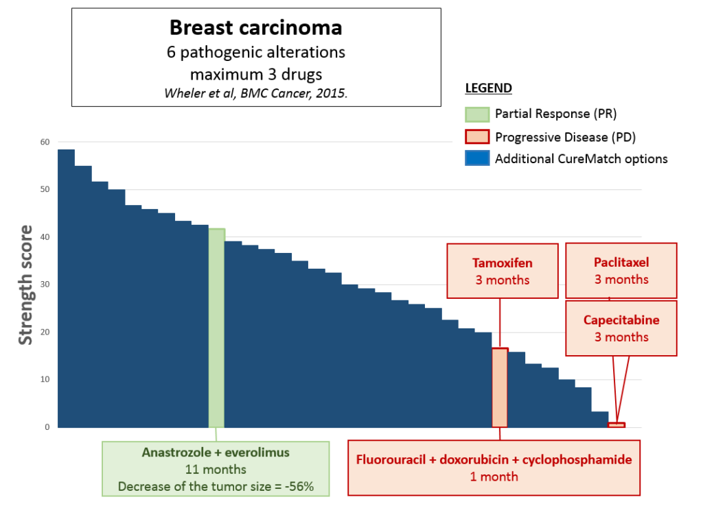 CureMatch Correctly Ranks Therapy that Led to Extraordinary Response in Metastatic Breast Cancer Patient