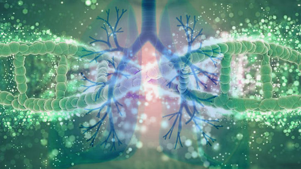 cancer mutations of the lung