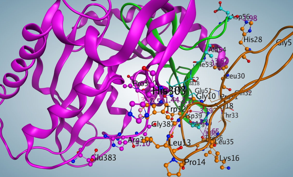 grp78 and cripto-figure1