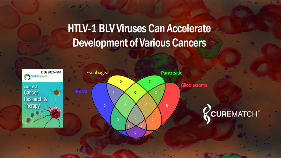 CureMatch Co-Founder Shares Findings HTLV-1 BLV Viruses Can Accelerate Development of Various Cancers